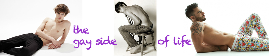 Gay Dide of Life